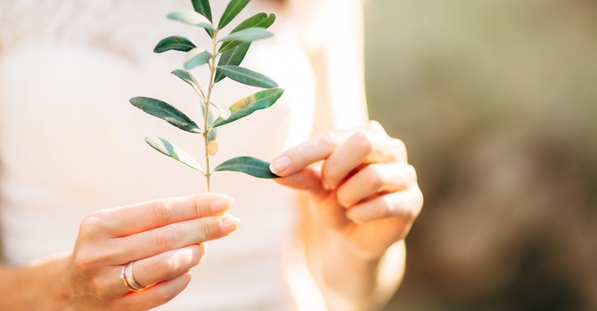 Parent for Child Psychotherapy